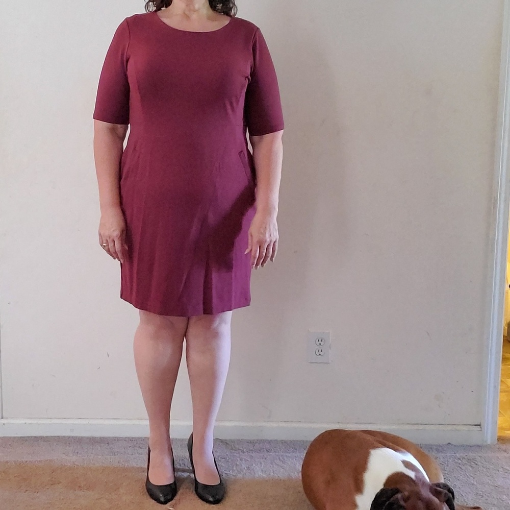 NWOT Lands' End career-wear dress